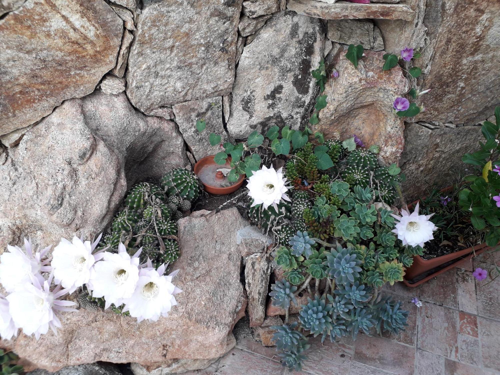Villa Exclusive House Cala Gonone Exterior foto